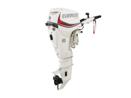 Evinrude E30GTEL E TEC Outboard Motor