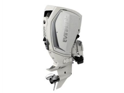 Evinrude H200HWLF 200 H.O Outboard Motor